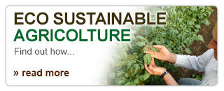 Eco Sustainable Agricolture