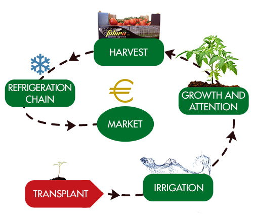 Short Production Chain